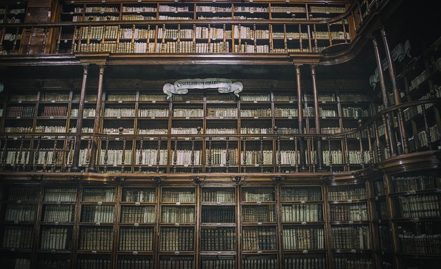 Waar je over nadenkt bij het kiezen van een industriële boekenkast